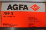 Druckplatten AGFA = NEU ECO3  Azura TS,605 x 745-0,30 mm,1 VE=50 Stück